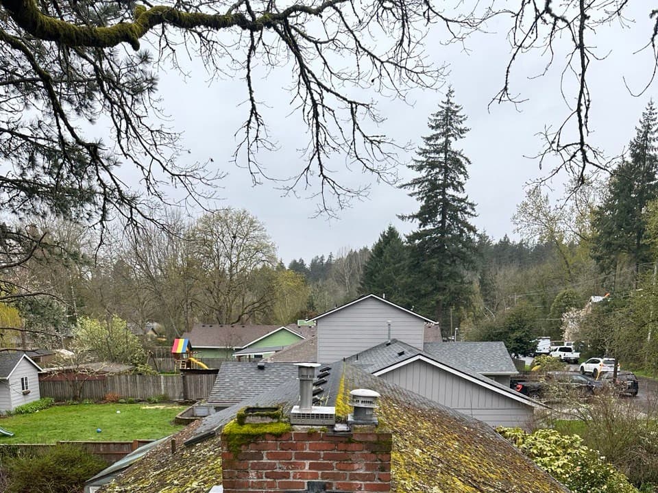 Art Roofing — 1